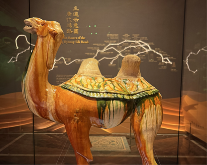 Faculty of Innovation and Design Students Visit “Silk Road beyond borders” Exhibition at Poly MGM Mu...